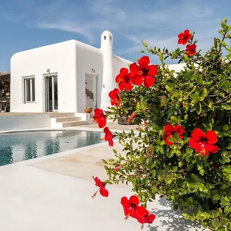Vila Acqua Di Mare Panormos (Mykonos)